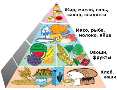 Диетолог Центра Современной Кардиологии